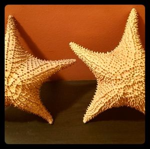 Pair of Large Starfish